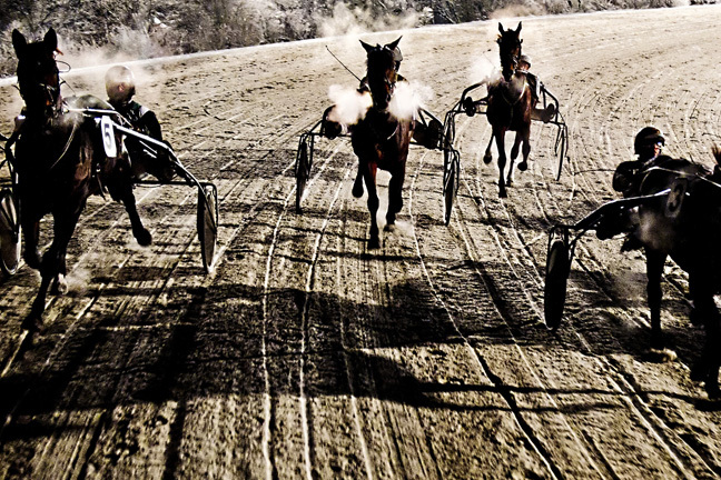 Horse race in Skive/Denmark : PORTFOLIO : Carsten Ingemann - Denmark - photographer-visual artist