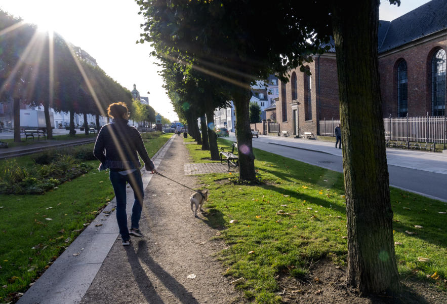 Byrum,SanktAnnæPlads i København:kund:SchønherrLandskab : Landskabsarkitektur/landscapearchitecture : Carsten Ingemann - Denmark - photographer-visual artist