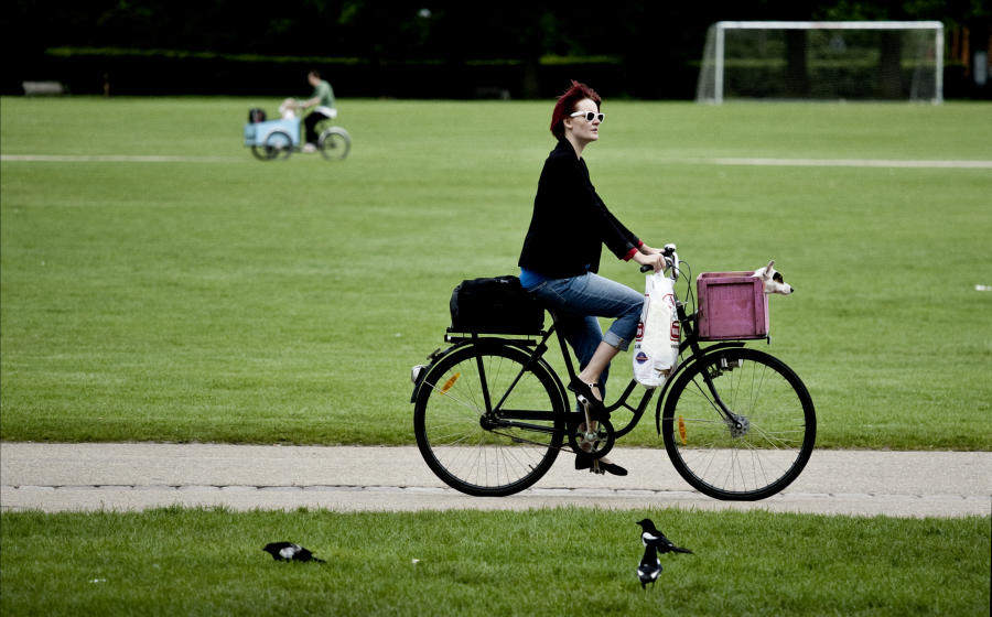 Fælledparken for Morgenavisen Jyllands-Posten : REPORTAGE/PORTRÆT : Carsten Ingemann - Denmark - photographer-visual artist