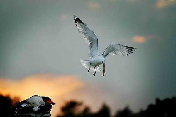 Saxild : Denmark...from the book "Danmark....en rejse i den danske erindring" : Carsten Ingemann - Denmark - photographer-visual artist