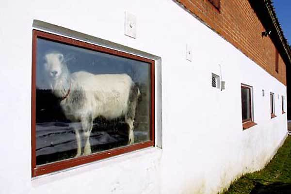 Sondrup : Denmark...from the book "Danmark....en rejse i den danske erindring" : Carsten Ingemann - Denmark - photographer-visual artist